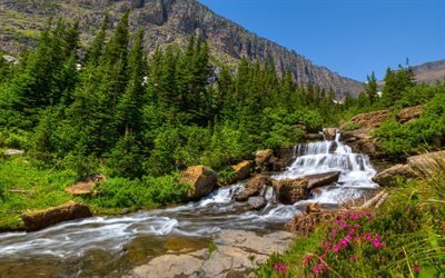 Waterfall, mountain river, summer, mountain, mountain landscape, flowers