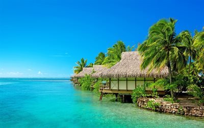 Seychellerna, ocean, tropiska &#246;ar, palmer, bungalows, semester