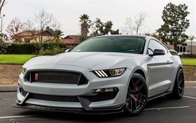 ford mustang, 2017, grau sport-coup&#233;, supersportwagen, tuning, mustang, forgeline r&#228;dern, vx1r, gt350r, ford