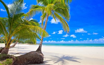 ilha tropical, praia, mar, areia, Seychelles, palmas