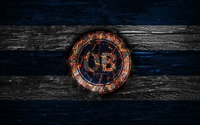 Odense FC, fire logo, Danish Superliga, blue and white lines, Danish football club, Odense BK, grunge, football, soccer, Odense logo, wooden texture, Denmark