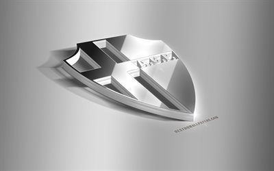 Padova Calcio, 3D de acero logotipo, italiano, club de f&#250;tbol, 3D emblema, Venecia, Italia, Padova FC emblema de metal, Serie B, de f&#250;tbol, creativo, arte 3d