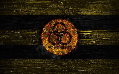 Horsens FC, fire logo, Danish Superliga, yellow and black lines, Danish football club, AC Horsens, grunge, football, soccer, Horsens logo, wooden texture, Denmark