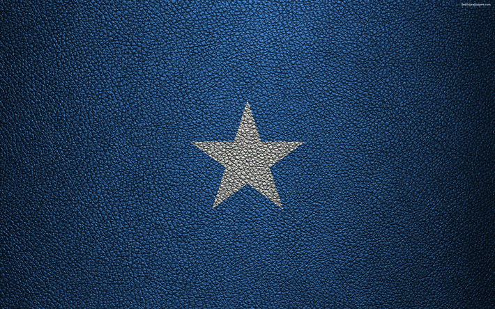 Flag of Somalia, Africa, 4k, leather texture, Somali flag, flags of Africa, Somalia