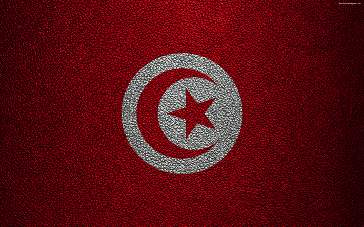 旗のチュニジア, アフリカ, 4k, 革の質感, チュニジア国旗, 旗のアフリカ諸国, チュニジア