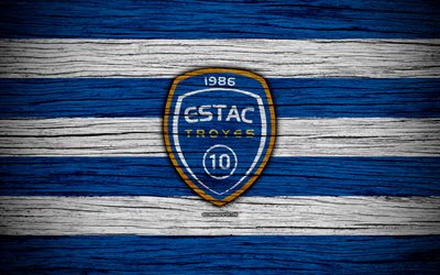 Troyes, 4k, France, Liga 1, wooden texture, Troyes FC, Ligue 1, soccer, football club, FC Troyes
