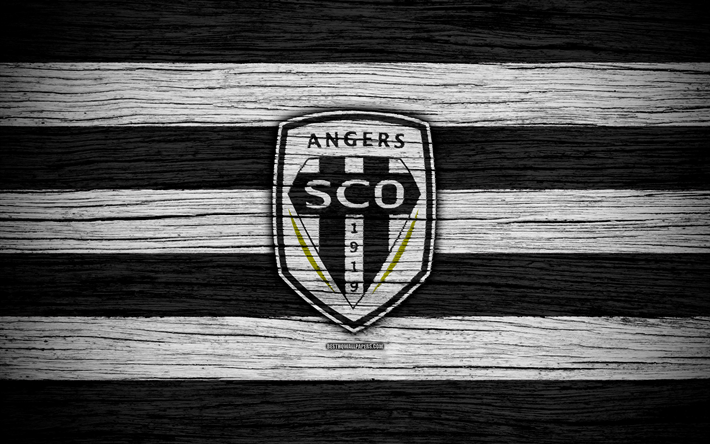 Angers, 4k, Fran&#231;a, Liga 1, textura de madeira, Angers FC, Ligue 1, futebol, clube de futebol, FC Angers