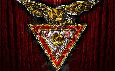 CD-Aves, poltetun logo, Ensimm&#228;inen Liiga, punainen puinen tausta, portugali football club, Aves FC, grunge, jalkapallo, Aves logo, palo-rakenne, Portugali
