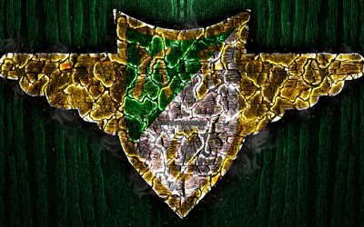 Moreirense, scorched logo, Primeira Liga, green wooden background, portuguese football club, Moreirense FC, grunge, football, soccer, Moreirense logo, fire texture, Portugal