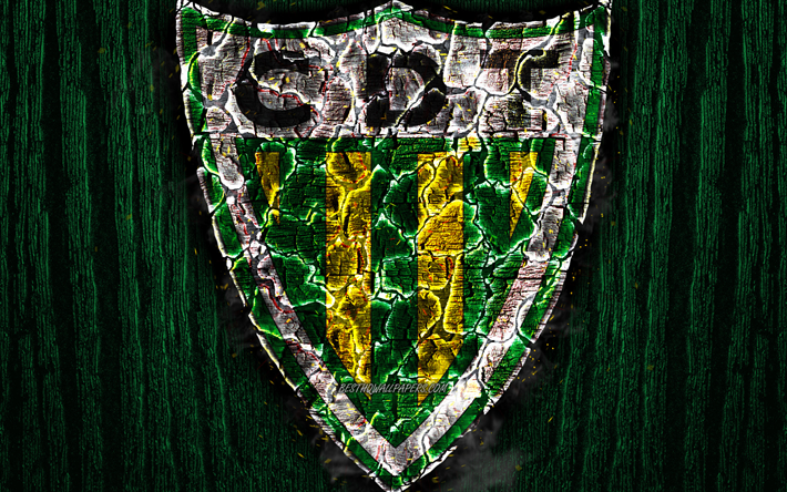 CD Tondela, arrasada logotipo, Primeira Liga, verde de madeira de fundo, portuguesa futebol clube, Tondela FC, grunge, futebol, Tondela logotipo, fogo textura, Portugal