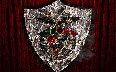 CD Santa Clara, poltetun logo, Ensimm&#228;inen Liiga, punainen puinen tausta, portugali football club, FC Santa Clara, grunge, jalkapallo, Santa Clara-logo, palo-rakenne, Portugali