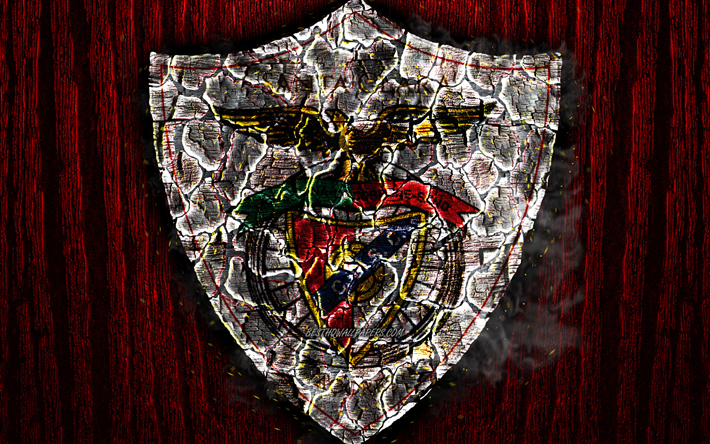 CD Santa Clara, poltetun logo, Ensimm&#228;inen Liiga, punainen puinen tausta, portugali football club, FC Santa Clara, grunge, jalkapallo, Santa Clara-logo, palo-rakenne, Portugali
