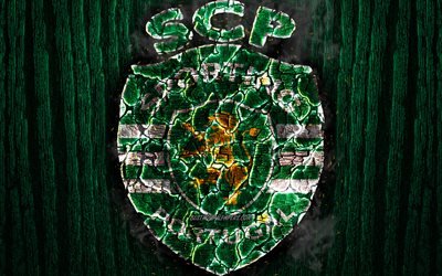 Sporting CP, logo, Ilk Lig, yeşil ahşap arka plan, Portekiz futbol kul&#252;b&#252;, Spor FC, grunge, futbol, futbol yakılmış, yangın, doku, Portekiz Spor