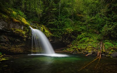 Iron Creek Falls, Gifford Pinchot National Forest, waterfall, forest, lake, green trees, Washington, USA