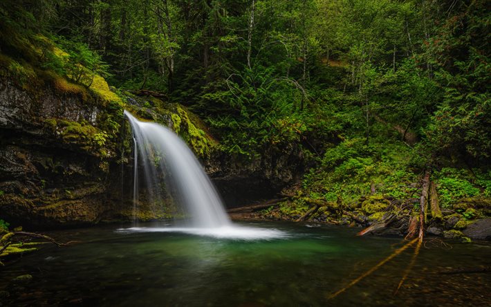 Iron Creek Falls, Gifford Pinchot National Forest, cascata, foresta, lago, alberi verdi, Washington, Stati Uniti d&#39;America