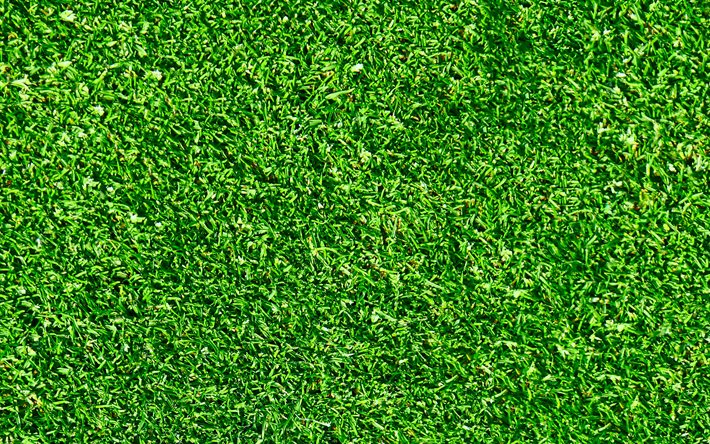 texture de l&#39;herbe verte, herbe verte, belle herbe, fond d&#39;herbe verte, textures naturelles