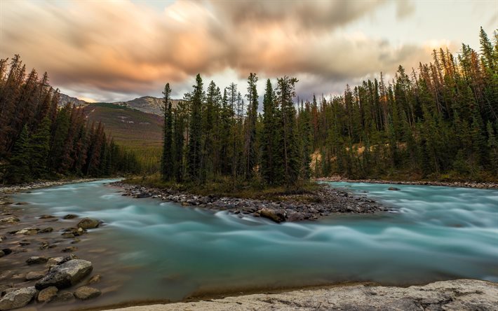 fiume di montagna, paesaggio di montagna, sera, tramonto, ansa del fiume, foresta, montagne, Canada
