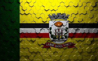 Bandera de Birigui, arte de panal, bandera de hex&#225;gonos de Birigui, Birigui, arte de hex&#225;gonos 3d, bandera de Birigui