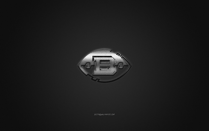 Birmingham Iron, American football club, silver logo, gray carbon fiber background, AAF, American football, USA, Alliance of American Football, Birmingham Iron logo