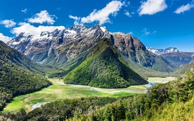 Humboldt Dağları, nehir, orman, yaz, Yeni Zelanda