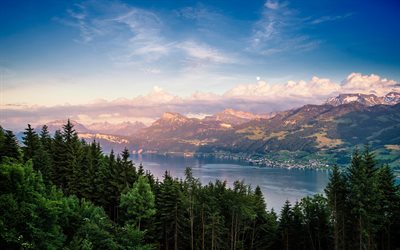 チューリッヒ湖, 4k, 山々, 森林, スイス, 欧州