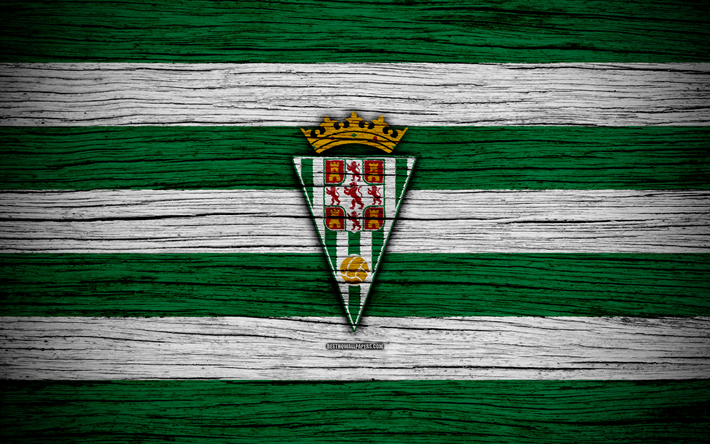 Cordoba FC, 4k, Segunda Division de football, club de football, Espagne, Cordoba CF, logo, LaLiga2, texture de bois, le FC Cordoba