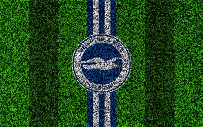Brighton and Hove Albion FC, 4k, football lawn, emblem, logo, English football club, green grass texture, APL, Brighton Hove, UK, football