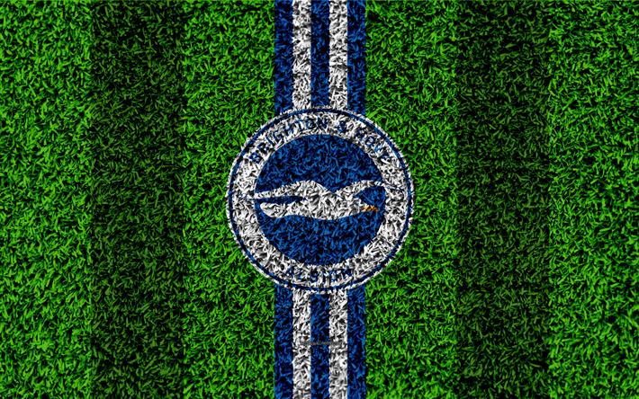 Brighton ja Hove Albion FC, 4k, jalkapallo nurmikko, tunnus, logo, Englannin football club, vihre&#228; ruoho rakenne, APL, Brighton Hove, UK, jalkapallo
