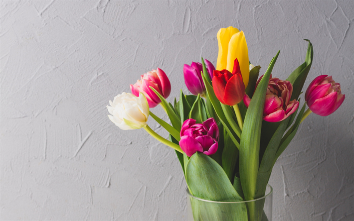 Download wallpapers bouquet of multi-colored tulips, spring bouquet ...
