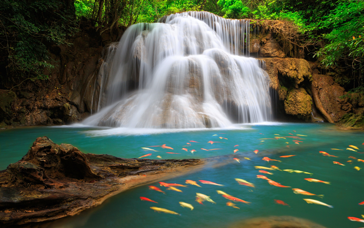 4k, el Parque Nacional de Yosemite, cascadas, peces koi, bosque, Yosemite, estados UNIDOS, Am&#233;rica