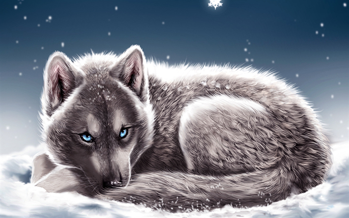 wolf, snowdrifts, winter, snowflakes, blue eyes, fantasy art, predators