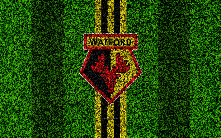 Watford FC, 4k, jalkapallo nurmikko, tunnus, Watford-logo, Englannin football club, vihre&#228; ruoho rakenne, Premier League, Watford, Englanti, UK, jalkapallo
