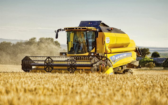New Holland TC5070, 4k, cosechadora, 2014 combina, el trigo, la cosecha, la cosecha de conceptos, New Holland
