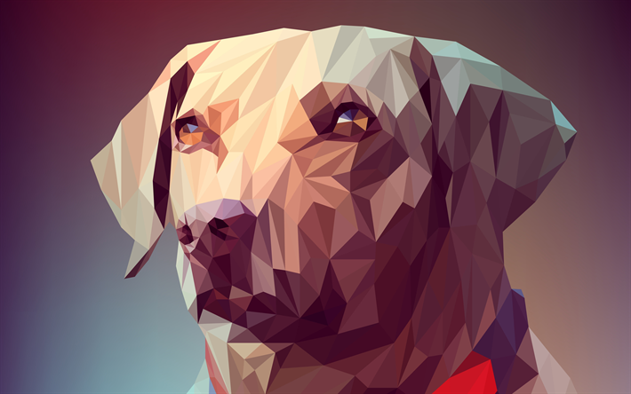 ダウンロード画像 4k 低のポリア 犬 マズル ゴールデンレトリーバー ラブラドール 3dアート フリー のピクチャを無料デスクトップの壁紙