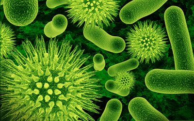 batteri, microscopio, verde microrganismi, biologia, scienze concetti