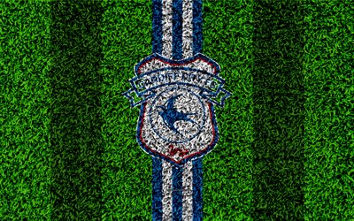 Cardiff City FC, 4k, football lawn, logo, emblem, English football club, blue white lines, Football League Championship, grass texture, Cardiff, UK, football