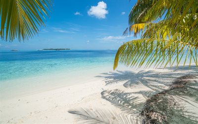 beach, ocean, palm trees, tropics, blue lagoon, boats, tropical island, summer