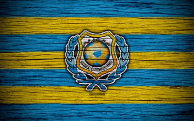 Ismaily FC, 4k, Egyptian Premier League, logo, soccer, Egypt, Ismaily, football, wooden texture, FC Ismaily