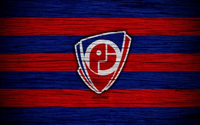 Petrojet FC, 4k, Egyptian Premier League, logo, soccer, Egypt, Petrojet SC, football, wooden texture, FC Petrojet