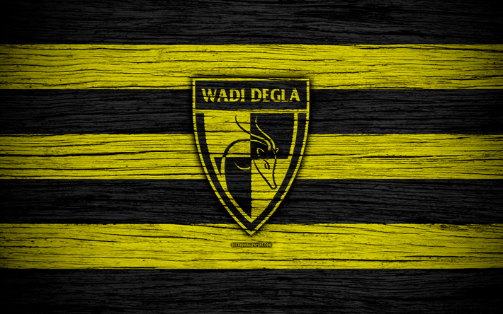 Wadi Degla FC, 4k, Egyptian Premier League, logo, soccer, Egypt, Wadi Degla, football, wooden texture, FC Wadi Degla