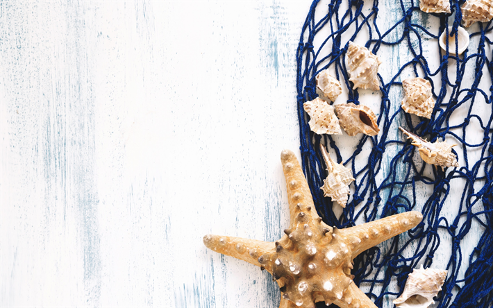 starfish, summer travel concepts, seashells, blue mesh, summer, wooden background