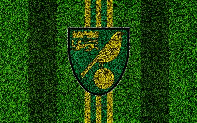 Norwich City FC, 4k, كرة القدم العشب, شعار, الإنجليزية لكرة القدم, الأخضر الخطوط الصفراء, كرة القدم بطولة الدوري, العشب الملمس, نورويتش, المملكة المتحدة, إنجلترا, كرة القدم