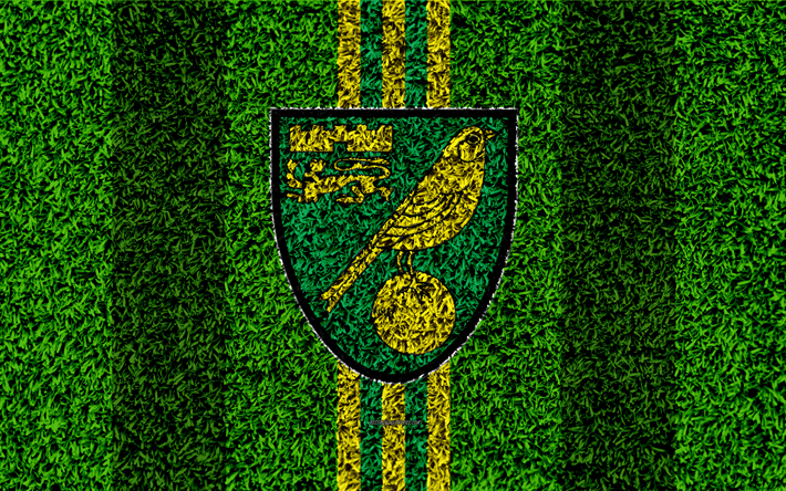 Il Norwich City FC, 4k, calcio prato, logo, stemma, il club di calcio inglese, verde, giallo linee di Football League Championship, erba texture, Norwich, regno UNITO, Inghilterra, calcio