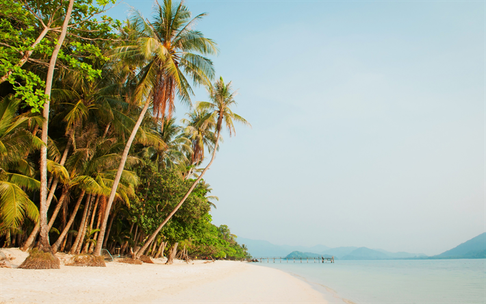isla tropical, palmeras, playa, Tailandia, del mar, de noche, viajes de verano