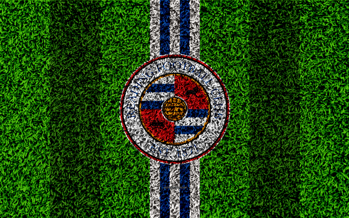 Reading FC, 4k, football lawn, logo, emblem, English football club, blue white lines, Football League Championship, grass texture, Reading, Berkshire, United Kingdom, England, football