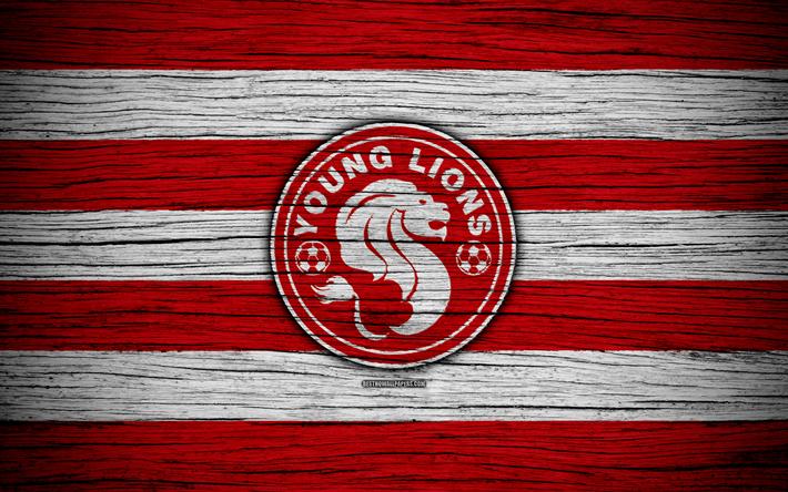 Young Lions FC, 4k, Singapore Premier League, soccer, Asia, football club, Singapore, Young Lions, wooden texture, FC Young Lions