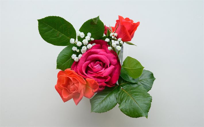rosas roxas, 4k, minimalismo, flores rosas, bokeh, rosas, bot&#245;es, buqu&#234; de rosas roxas, fundos cinza, flores bonitas, fundos com rosas, bot&#245;es roxos