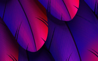 viola piume, 4k, 3d, textures, macro, piume texture di sfondo con piume, piume modelli 3d piume