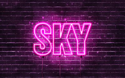 Sky, 4k, wallpapers with names, female names, Sky name, purple neon lights, Happy Birthday Sky, picture with Sky name