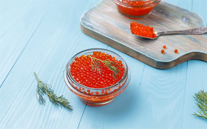 caviar vermelho, aperitivo, caviar de salm&#227;o, vermelho caviar com uma colher, caviar